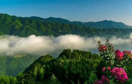 QQ图片20180120003638.jpg QQ图片20180120003638.jpg