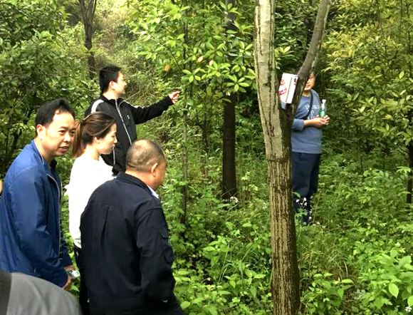 QQ图片20180514211235.png QQ图片20180514211235.png